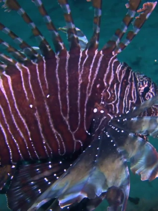 色欲色香天天综合好吊