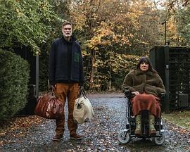 我最喜欢的蛋糕